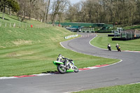 Lower Group Green Bikes